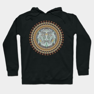 Focused Roundel Hoodie